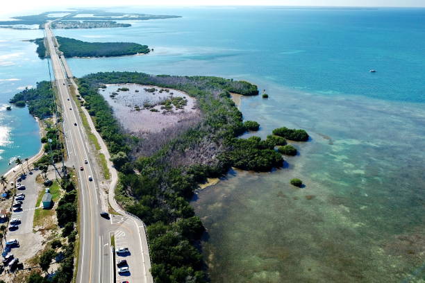 istock The road over Florida Keys to Key West 1285299415