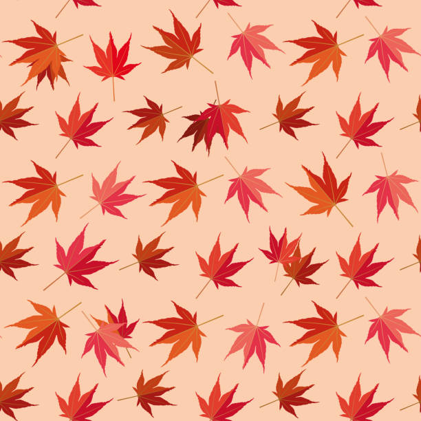 illustrazioni stock, clip art, cartoni animati e icone di tendenza di motivo autumnal giapponese foglia d'acero senza cuciture - japanese maple maple leaf leaf maple tree