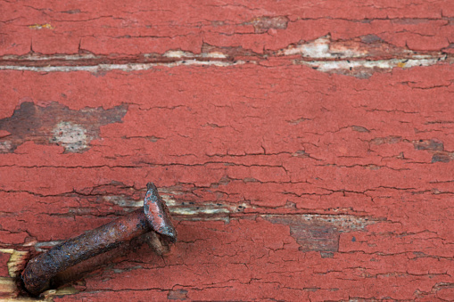 Weathered wood from an old barn.  Rusty, bent nail in the wood.