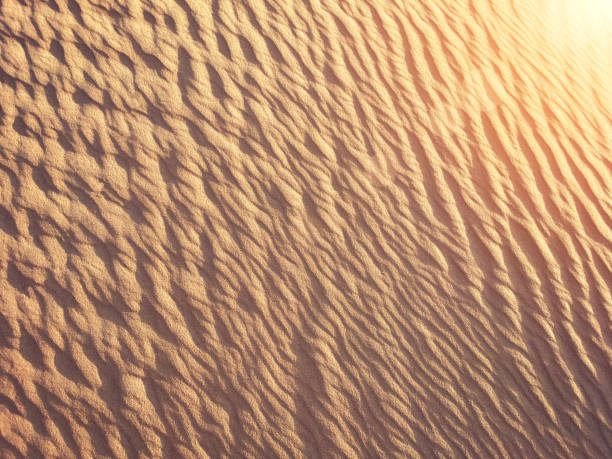 istock Golden  desert sand texture as background, lizard footprints 1285301519