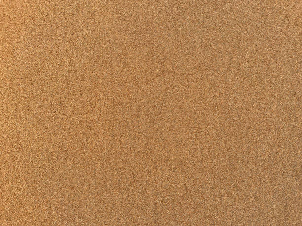 istock Golden  desert sand texture as background, lizard footprints 1285301656