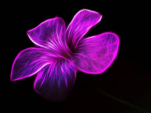 istock Neon Butterfly.3D surreal illustration.Fractal abstract texture 1285302002
