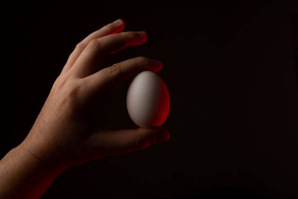 istock Hand holding egg in half light red black background 1285303007
