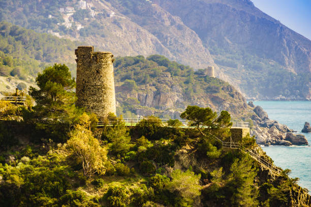 istock Spanish coast with Pine Tower, Andalusia. 1285306800