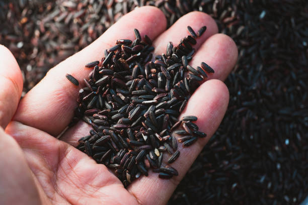 istock Closeup hand hold Thai Rice Berry 1285307513