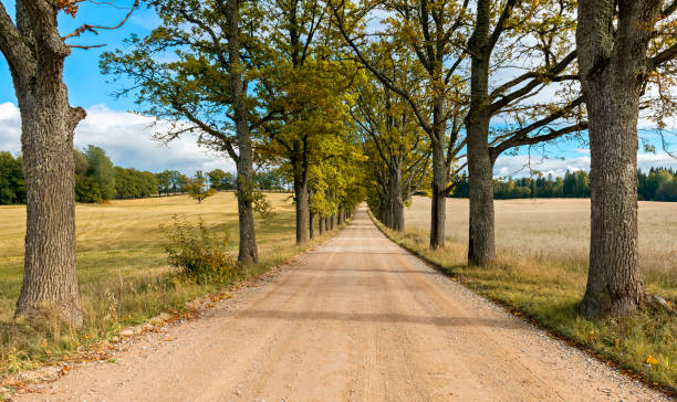 istock Old countryside road in autumn, Europe 1285308577