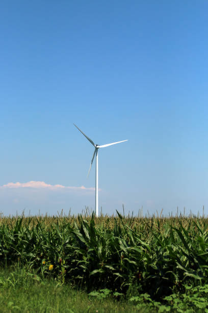 istock Electric wind turbine between farm fields in Romania. 1285308825