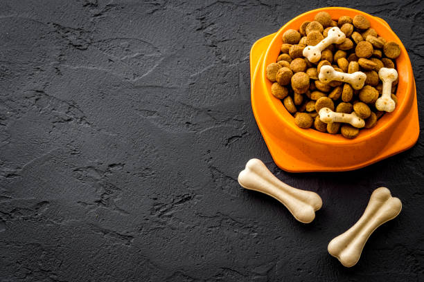 istock Dog dry food - pet background. Close up 1285309639