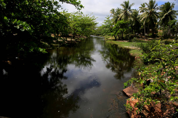 istock imbassai on the coast of bahia 1285310751