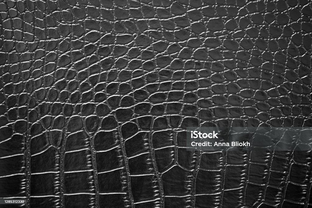 Black Crocodile Leather Texture Skin Alligator Animal Pattern Luxury  Background Macro Photography Stock Photo - Download Image Now - iStock