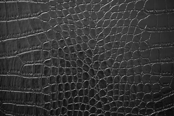 Photo of Black Leather Crocodile Texture Skin Alligator Pattern Luxury Background Macro Photography