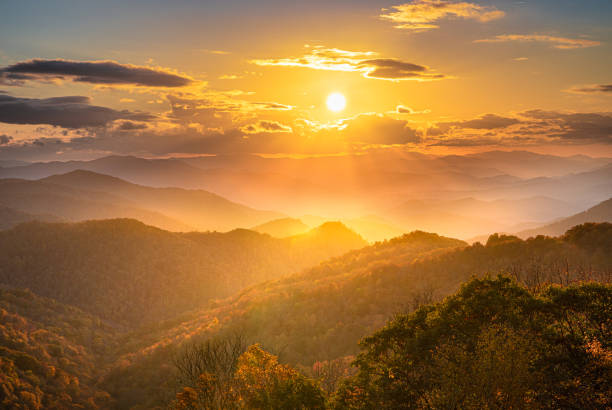 sunset on the blue ridge parkway - landscape fir tree nature sunrise fotografías e imágenes de stock