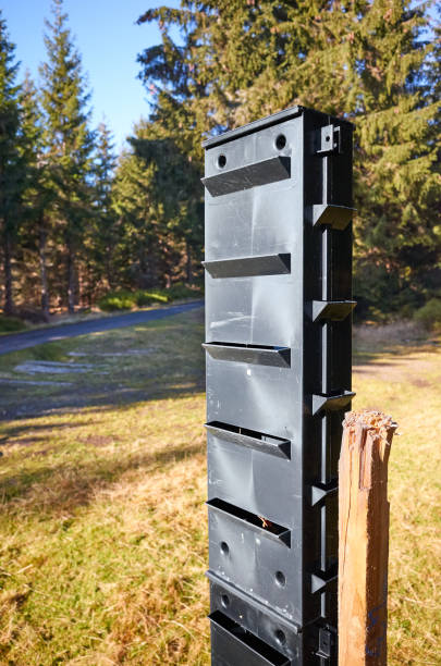 istock Close up picture of bark beetle pheromone trap in forest. 1285317216