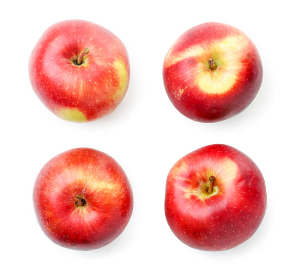 istock Set of red apples on white background, isolated. The view from top 1285318532