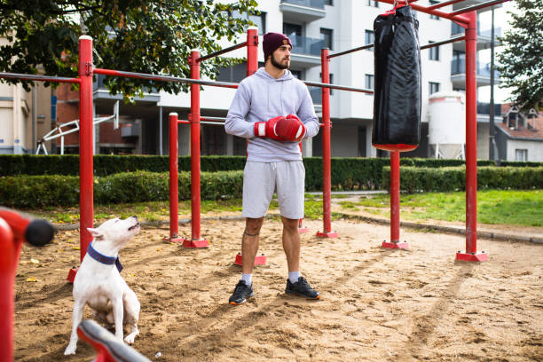 un jeune combattant et son chien à côté d’un sac de poinçonnage - men sweat combative sport boxing photos et images de collection