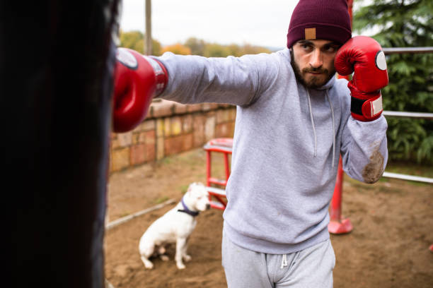 un entraînement de boxeur avec son crabot - men sweat combative sport boxing photos et images de collection