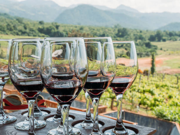 istock Multiple glasses of wine ready for tasting 1285322237