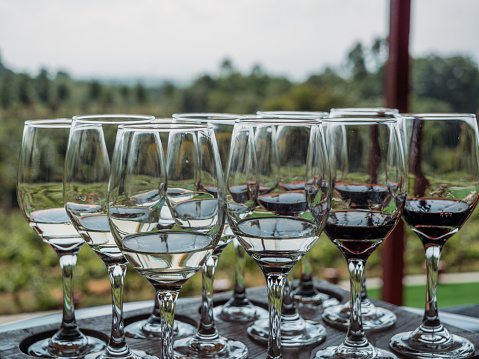 Wine tasting in Myanmar, Asia, view of vineyard