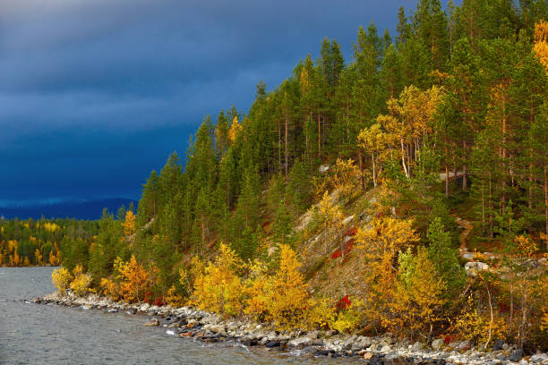 istock Autumn forest on the hillside by the lake. 1285323751
