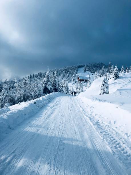 istock Winter in Harghita 1285326250