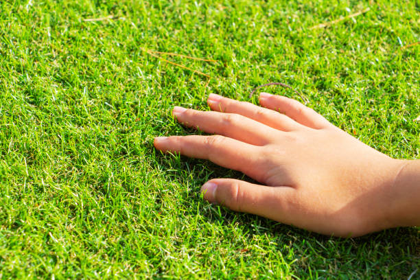 istock woman's hand touching the grass. artificial turf is not real grass. 1285326815
