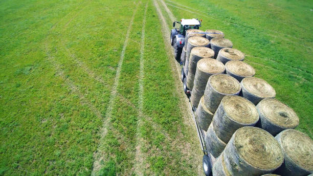 istock round bales transportation on tractor trailer 1285331616