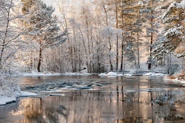 川のそばの冬 - reflection water snow river ストックフォトと画像