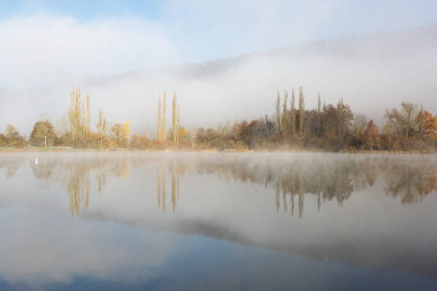 beautiful nature at a cold foggy morning, Germany