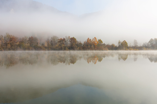 trees and bushes mirroring in misty lake at morning time