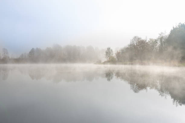 istock atmospheric mood at misty morning at a lake in Germany 1285332038