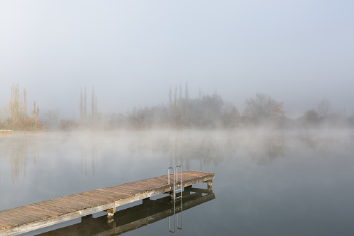 Anna Paulowna Marina in the mist. Cormorants and seagulls rest on the piers and posts.