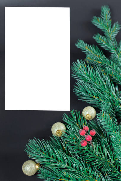 istock christmas background. green branches of christmas tree on black background 1285333023