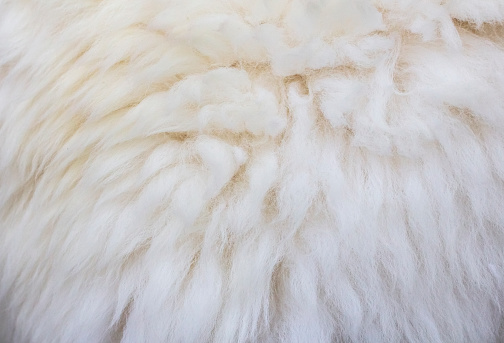 Close-up of a piece of fabric made of sheep's wool
