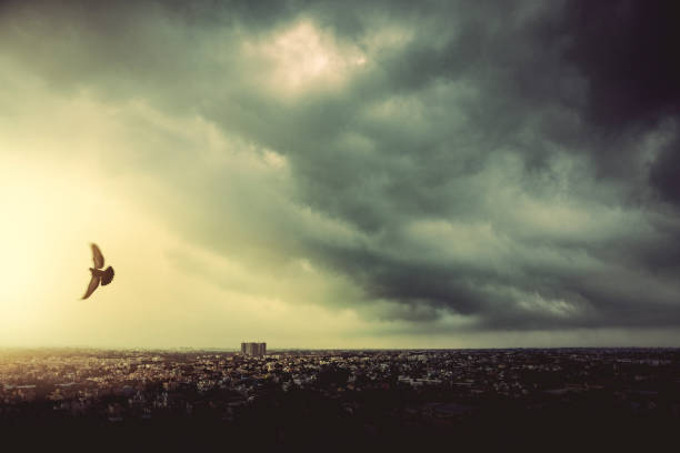 Evening misty cityscape from above bird flying over, shot from tall building. Chennai, India.