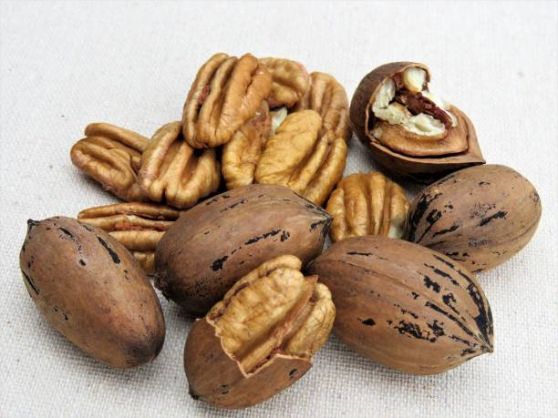 istock Pecan Nuts, Whole and Shelled, Close-up 1285334527