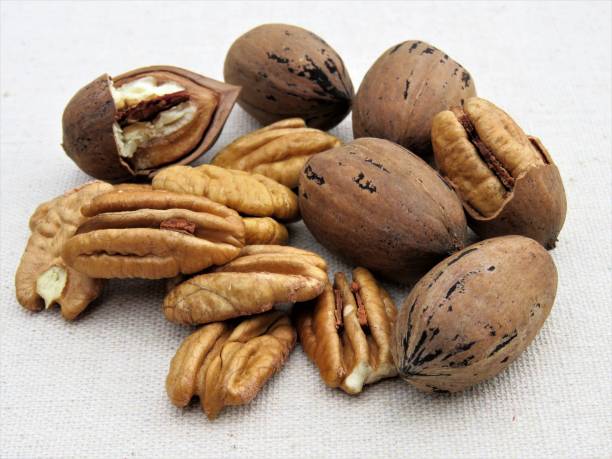istock Pecan Nuts, Whole and Shelled, Close-up 1285334604