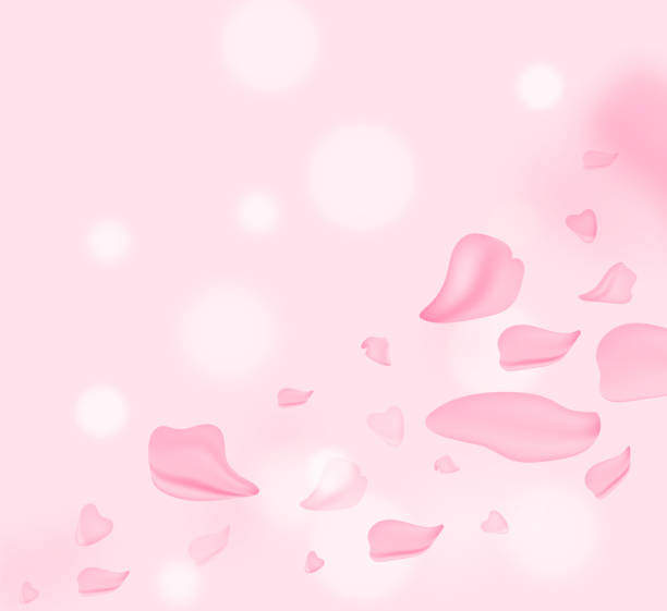 istock Petals falling. April floral nature. Spring blossom and may flowers on pink. For banner, branches of blossoming cherry against background. Dreamy romantic image, landscape, copy space. 1285335589