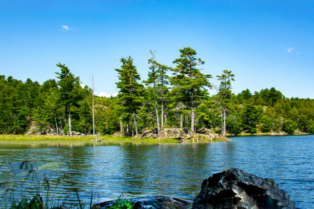 istock Landscape with an island and a wild forest on it 1285338312