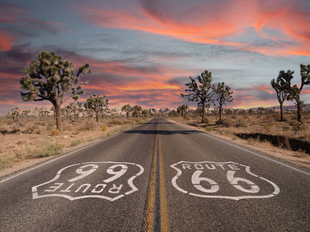 route 66 with joshua trees and sunset sky - route 66 thoroughfare sign number 66 imagens e fotografias de stock