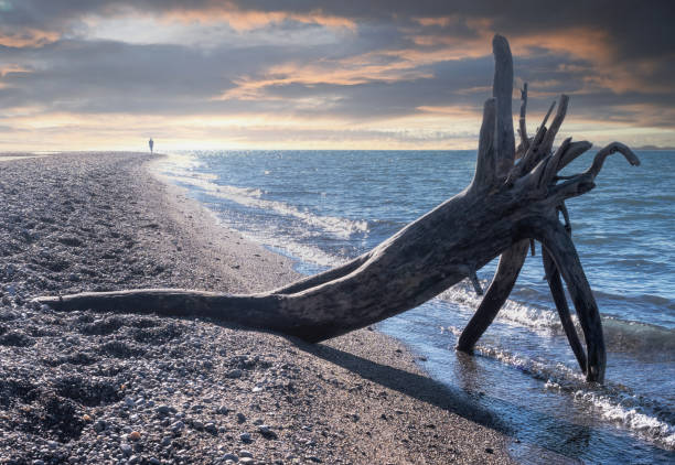 istock Point Pelee National Park - Southern Tip 1285340433