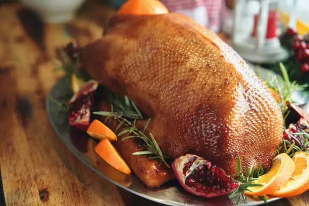 Holiday Goose with Red Cabbage, Vegetables and Side Dishes or Christmas