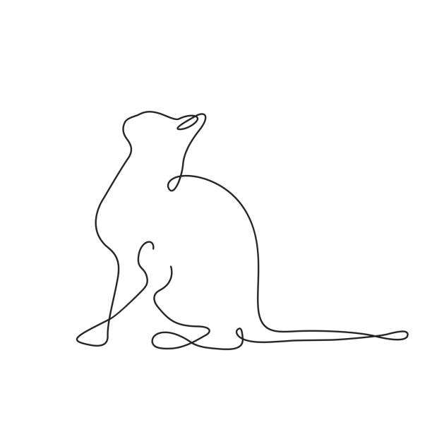 ilustrações, clipart, desenhos animados e ícones de desenho de gato usando estilo de arte de uma linha única contínua isolado em fundo branco. uma linha de design de gato silhueta.desenhado à mão minimalismo estilo ilustração vetorial - um animal