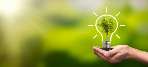 Ecological friendly and sustainable environment Light bulb with growing tree. Ecological friendly and sustainable environment environnement stock pictures, royalty-free photos & images