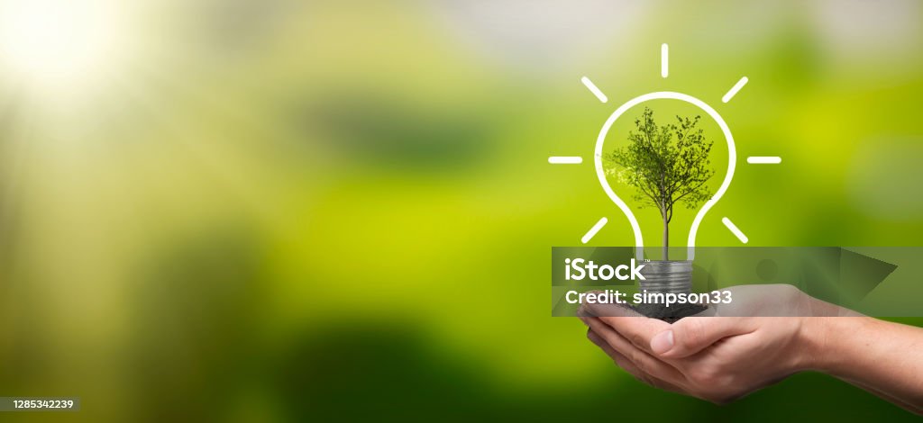 Ambiente ecológico e sustentável - Foto de stock de Eficiência energética royalty-free