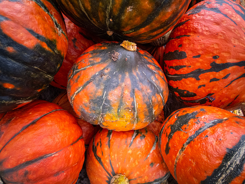 Group of big pumpkin in colorful which are used to decorate for Halloween event. Holiday event decoration scene, selective focus.