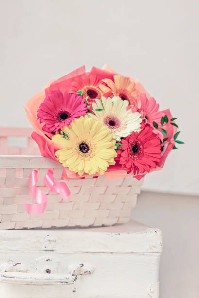 Bouquet of fresh bright multi-colored gerbera flowers in a wicker basket on an old white suitcase, still life, light vintage background