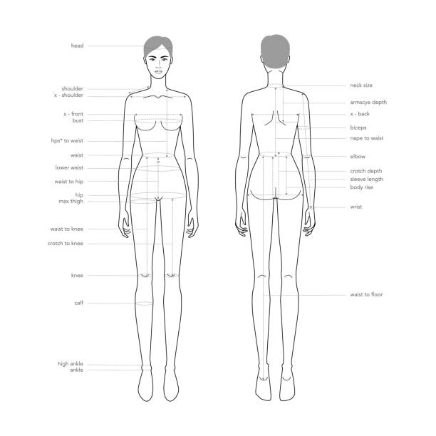 Women Body Parts Terminology Measurements Illustration For Clothes And  Accessories Production Fashion Lady Size Chart Stock Illustration -  Download Image Now - iStock