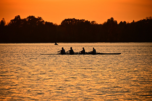 Early morning rowers on the Yarra River in Melbourne