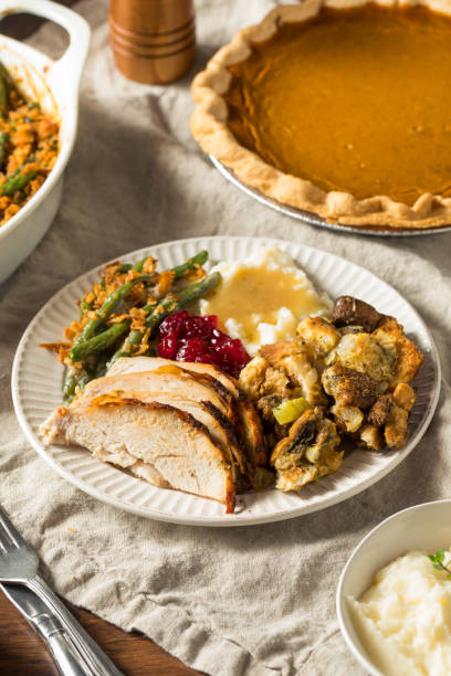 istock Homemade Thanksgiving Turkey Plate 1285346079