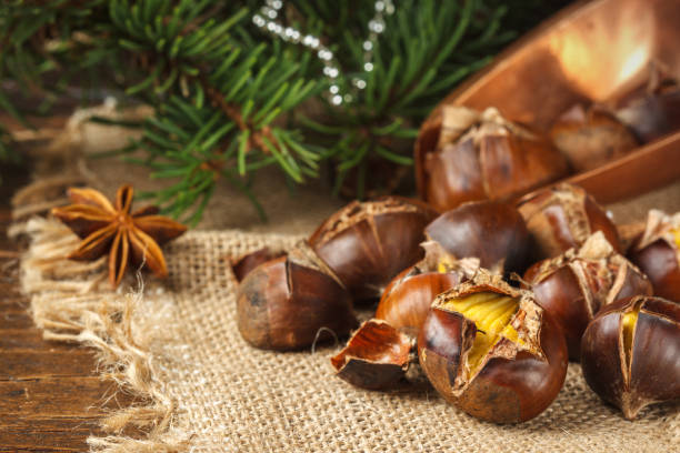 roasted chestnuts in the cracked shell on the cloth from the canvas close up. With spruce branches in the background, selective focus stock photo